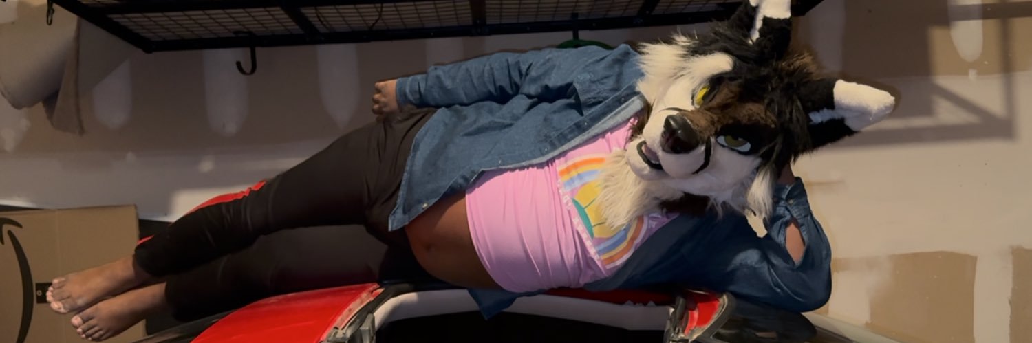 Fat Nerdy Fox's banner