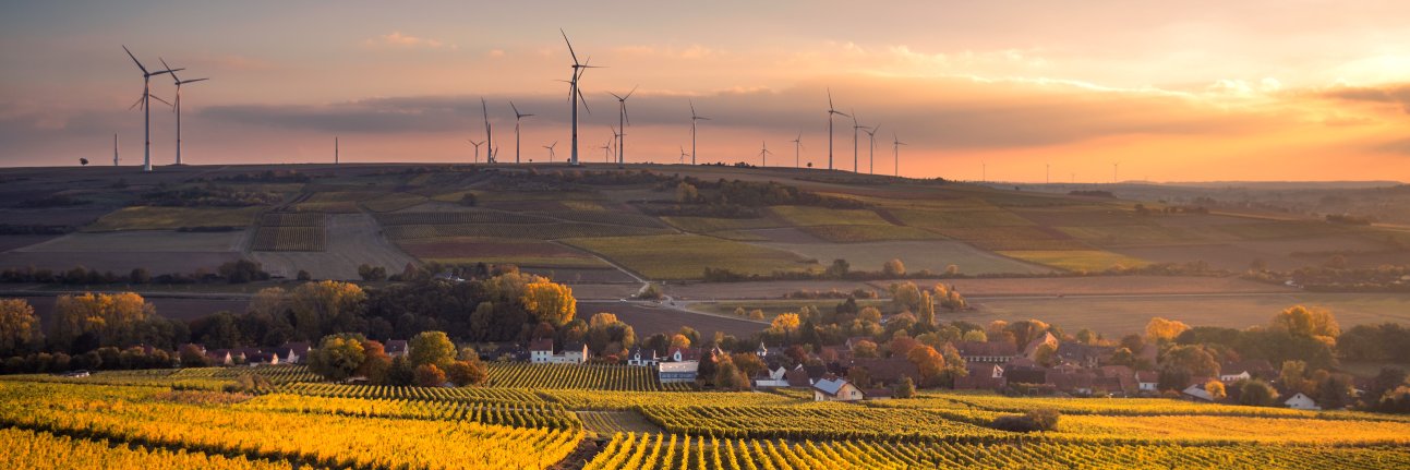 Environmental Defense Fund Europe's banner
