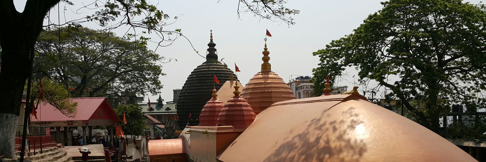 गुरिल्ला's banner