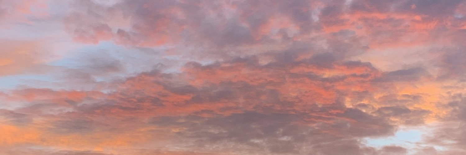 jane's banner