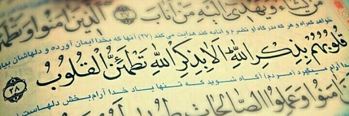 Mojtaba davoodi ‏‎🦋's banner