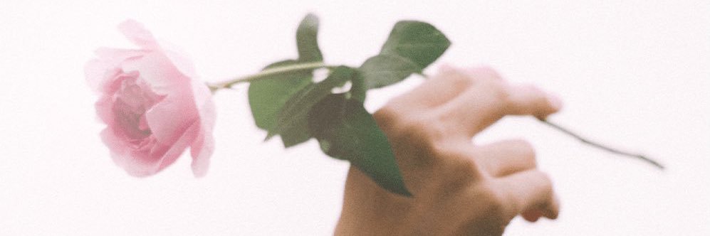 An's banner