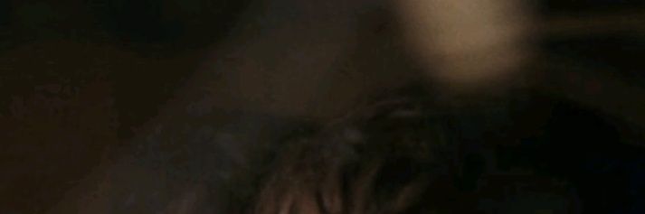 steff's banner