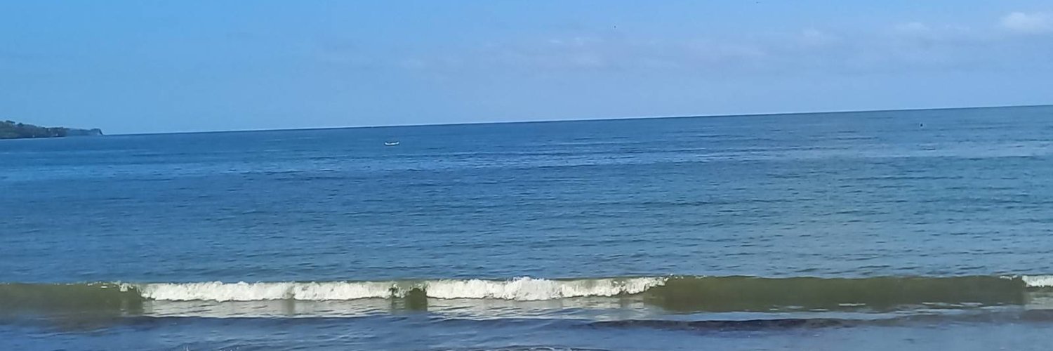 茜茜（不私聊）'s banner