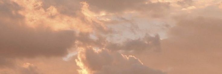 thay (sell)'s banner