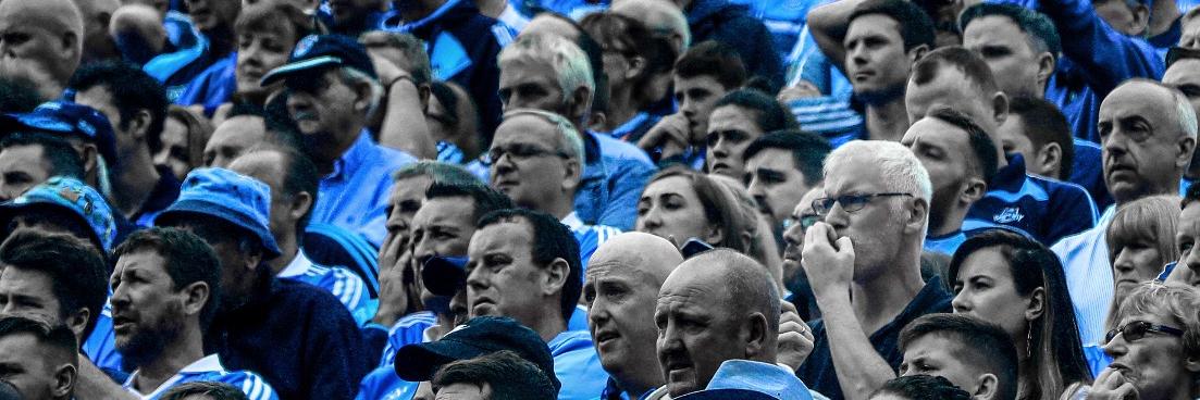 david kelly's banner