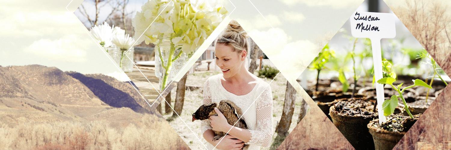 Katherine Heigl's banner