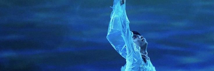 gabriela ✨️'s banner