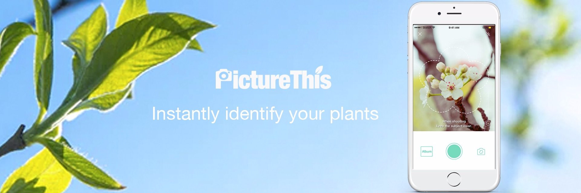 PictureThis's banner
