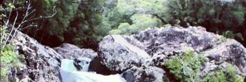 Marce's banner