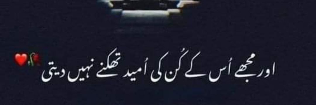 Muhammad Aamir Rana's banner