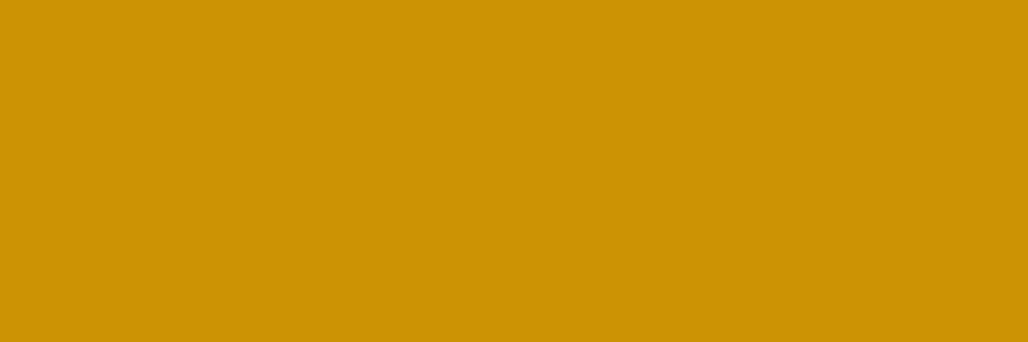 NOLA Gold Rugby's banner