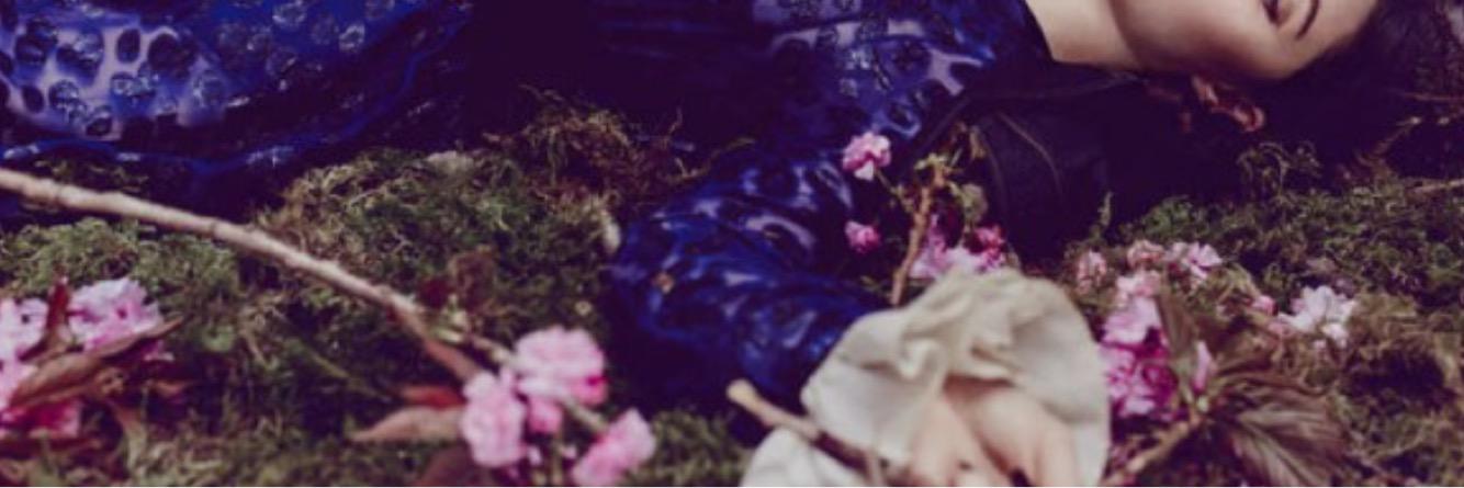 Alexandra Daddario's banner