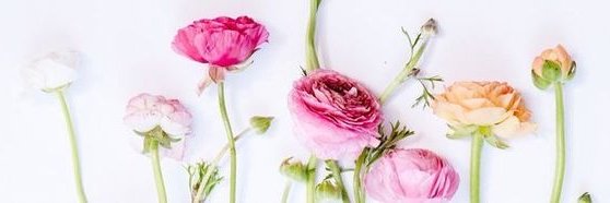 Floreηcia Jacksoη ♕'s banner
