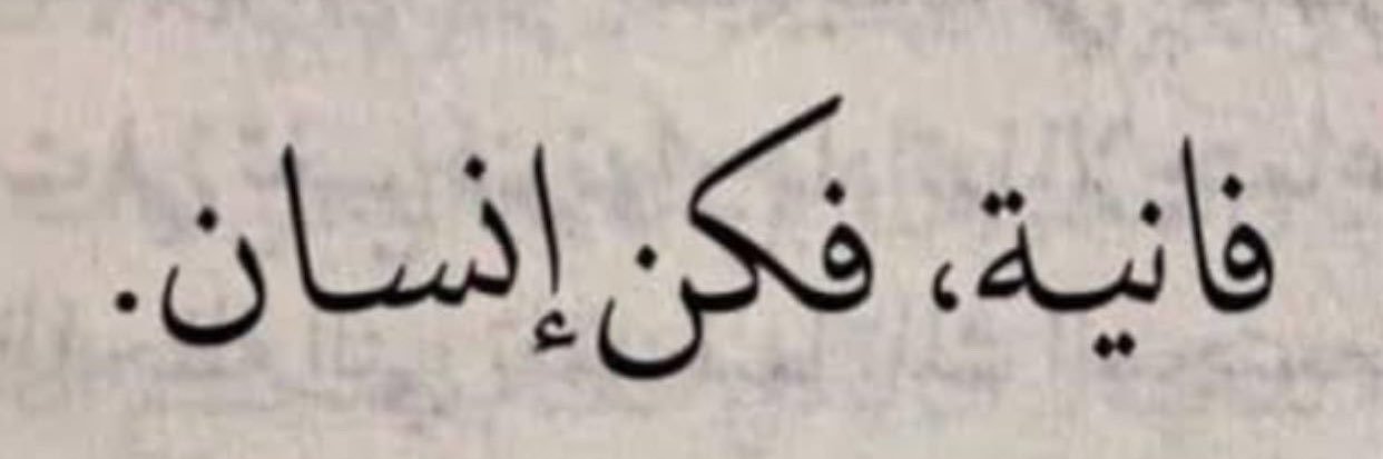 Noha Abdin's banner