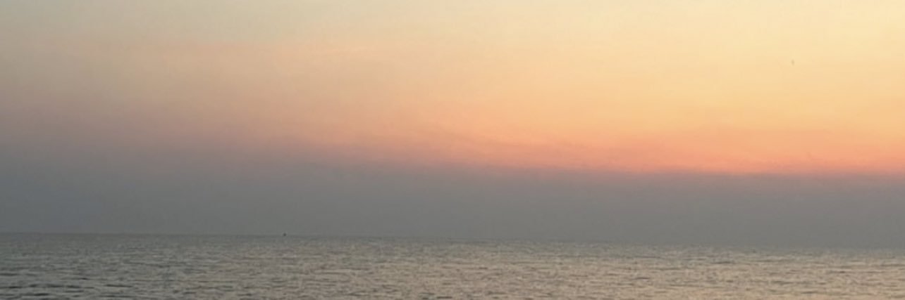 aиᴛ ◡̎'s banner