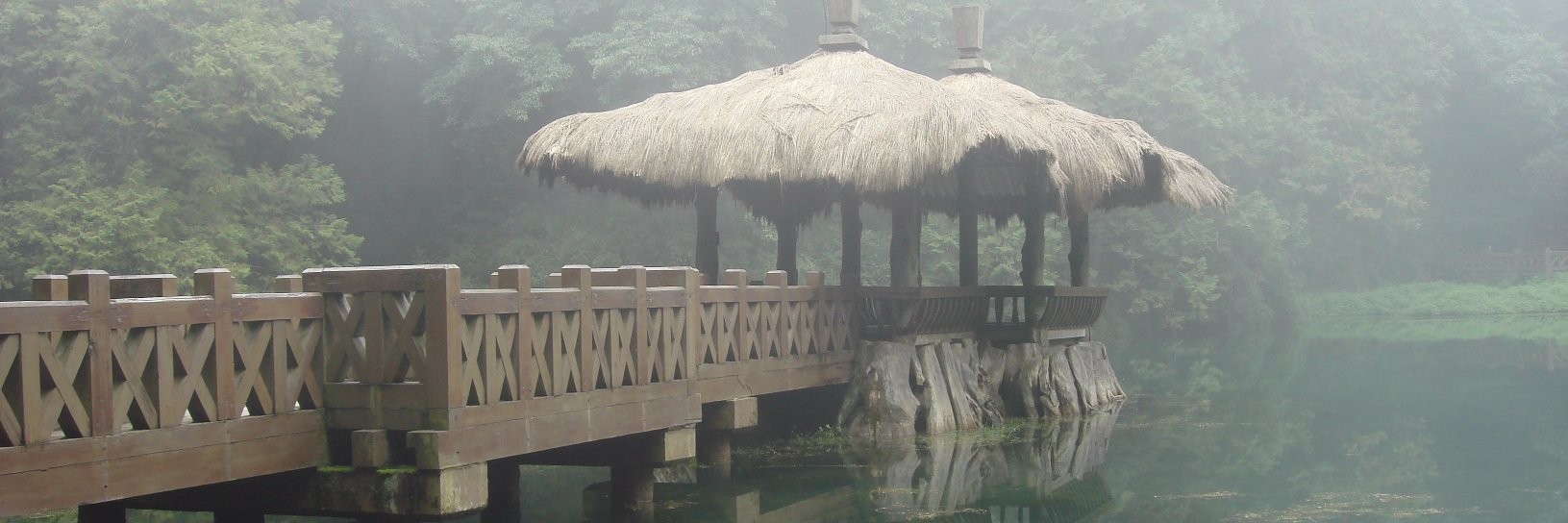 鲍简's banner