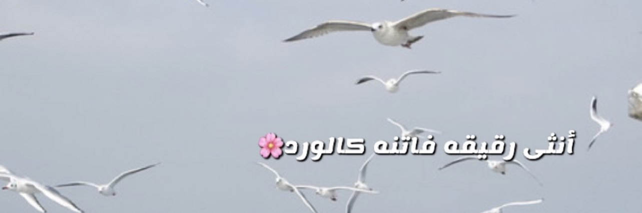 ‏نورة الـعتيبي 🌸's banner