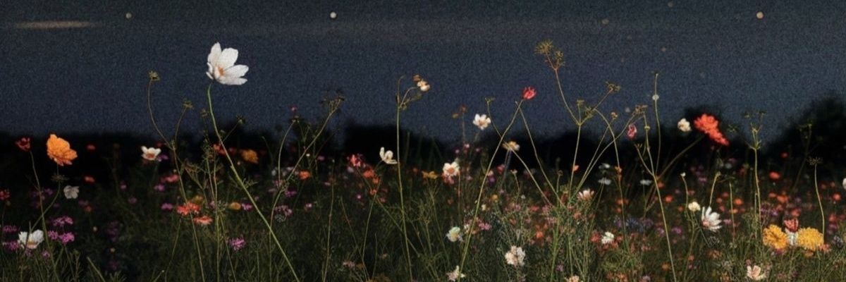 lisa ˚˖𓍢ִ໋❀'s banner