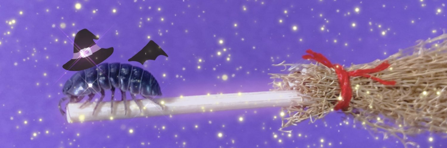 山﨑おしるこ's banner
