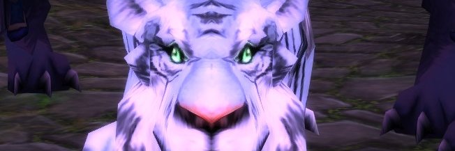 Moon Priestess Amara's banner
