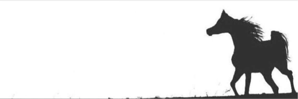 مجرّد شعر's banner