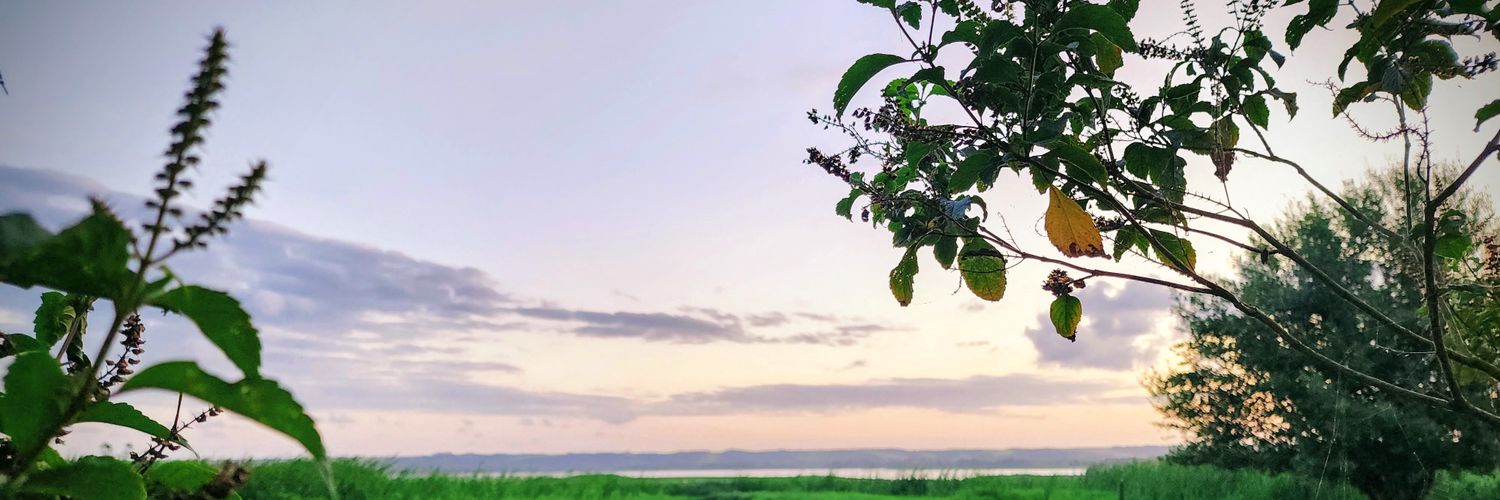 Audir Acioli's banner