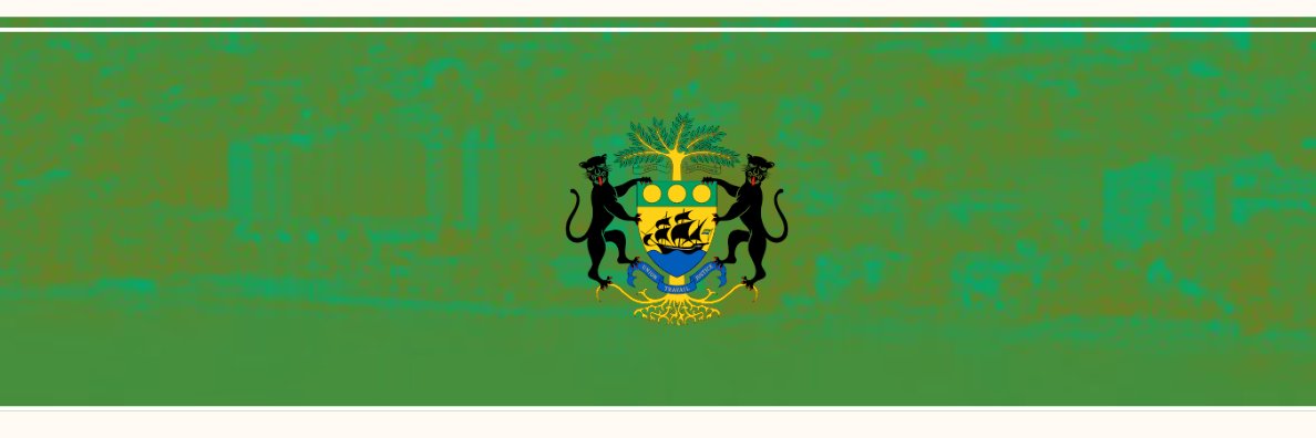 Marceau MALEKOU's banner
