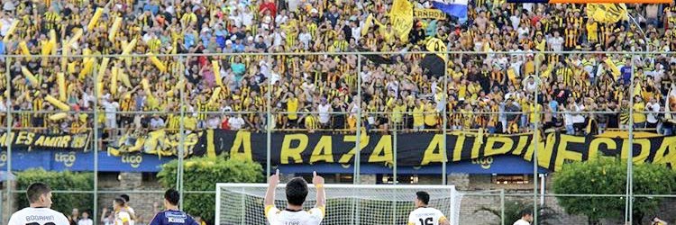 Aurinegro de Guaraní's banner