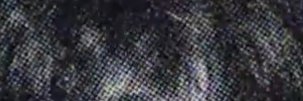 chocolate cake's banner