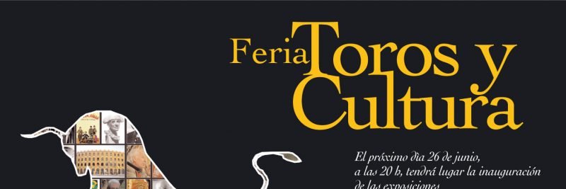 Cultura y Toro's banner