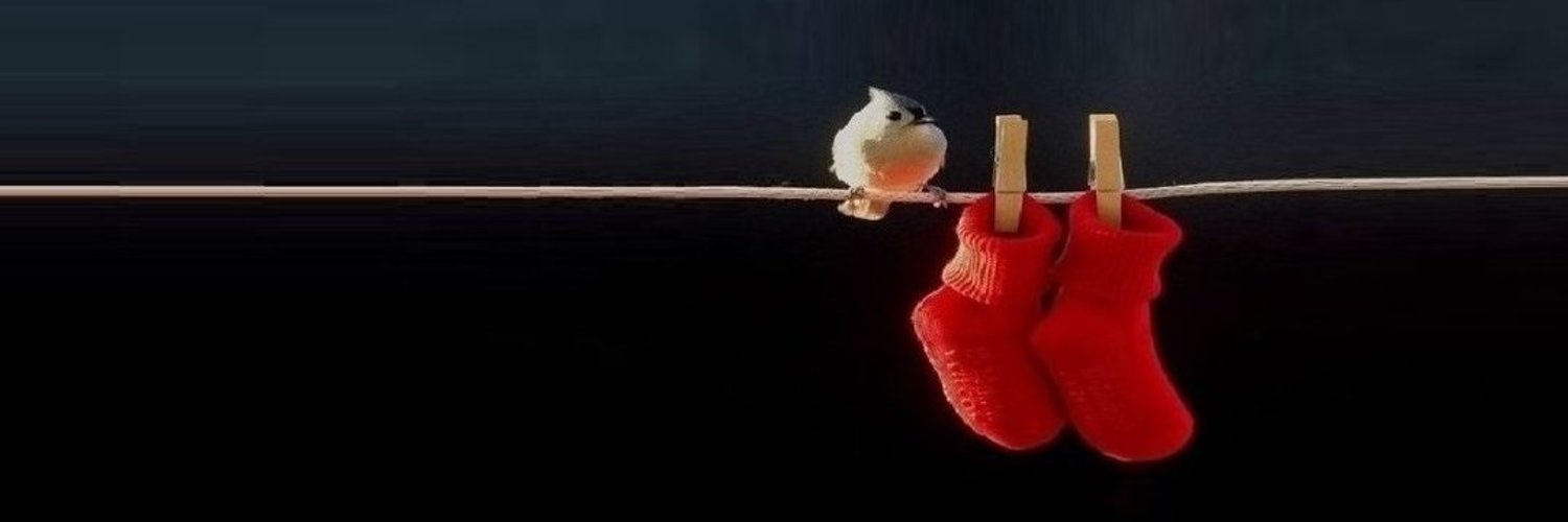 World birds's banner