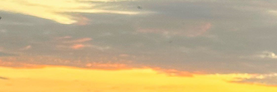 marlonᝰ's banner
