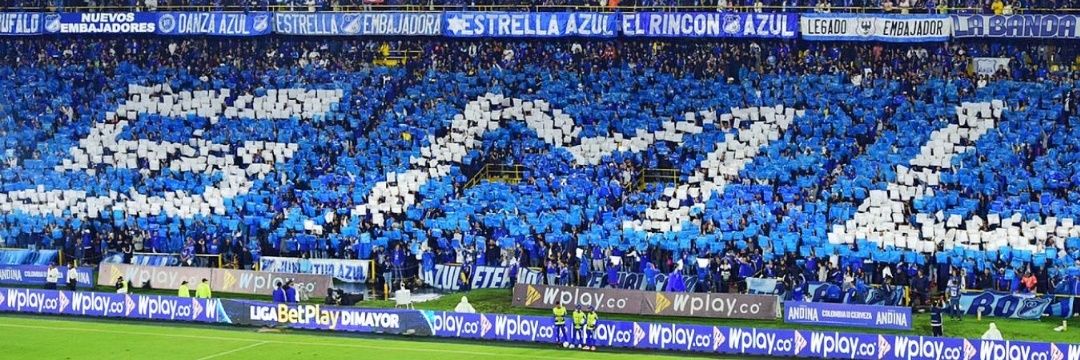 Nati Bohórquez's banner