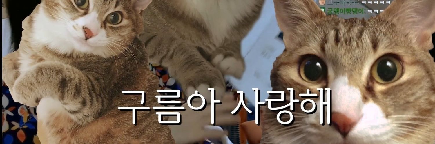 저화질의 구름이's banner