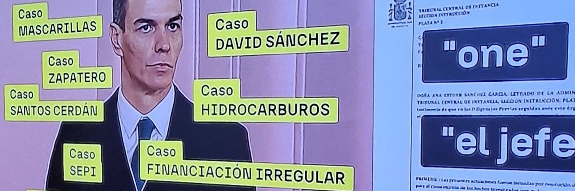 Cristina Seguí's banner