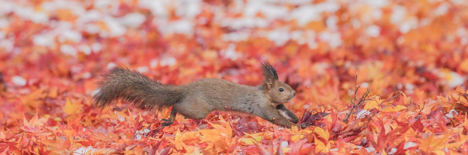安彦 嘉浩's banner