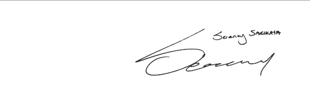 serenay archives's banner