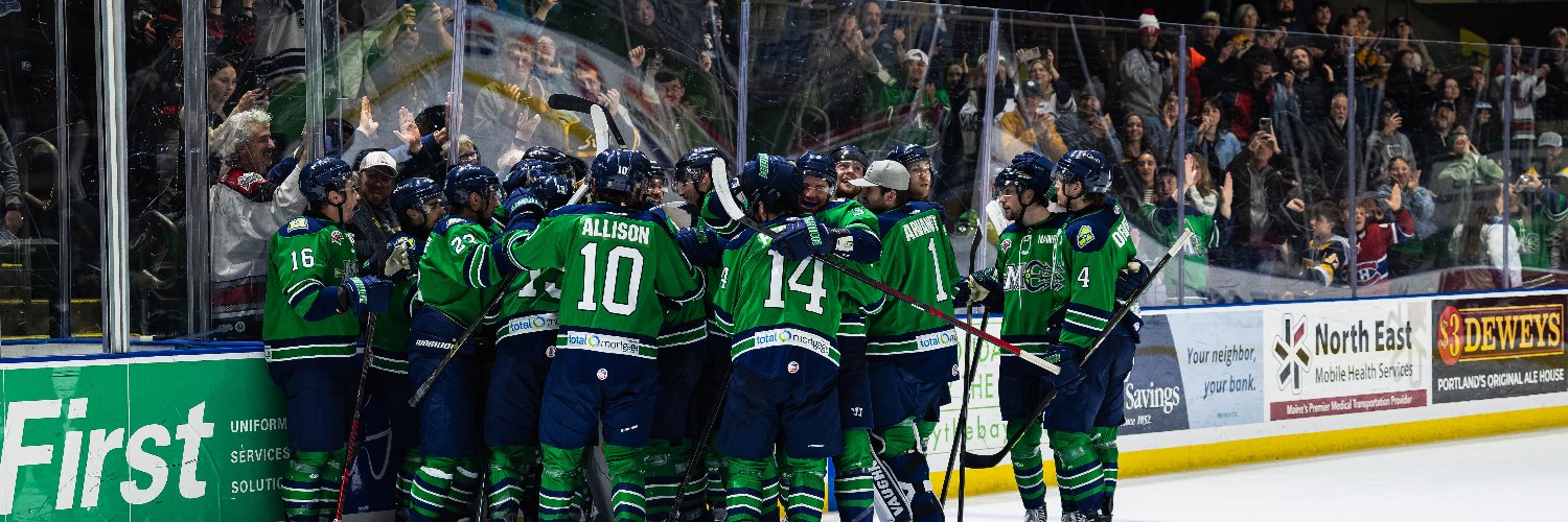 Maine Mariners's banner