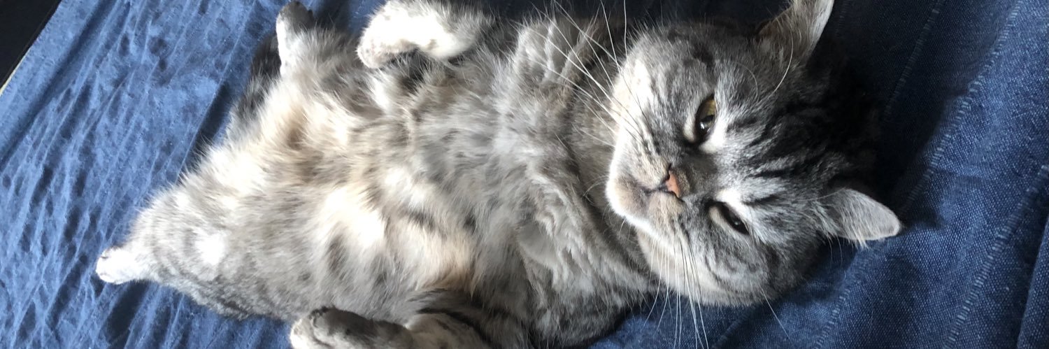 Маша с котом's banner