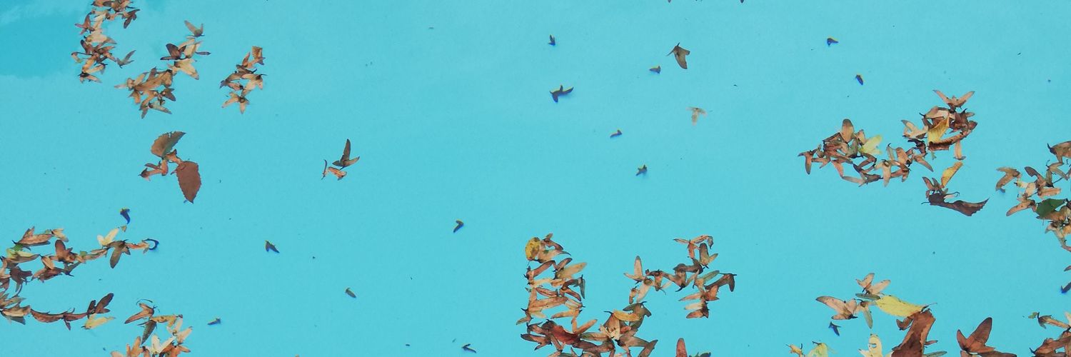Plivajući Zamajac's banner