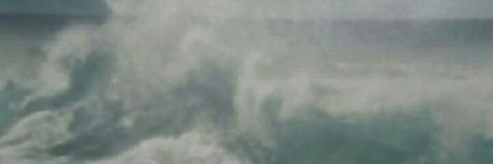 Harriet Garnet's banner