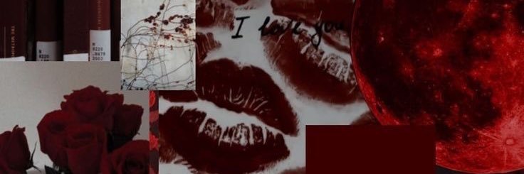 lizliz💋's banner