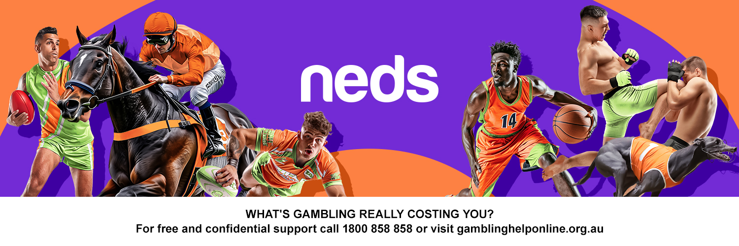 Neds's banner