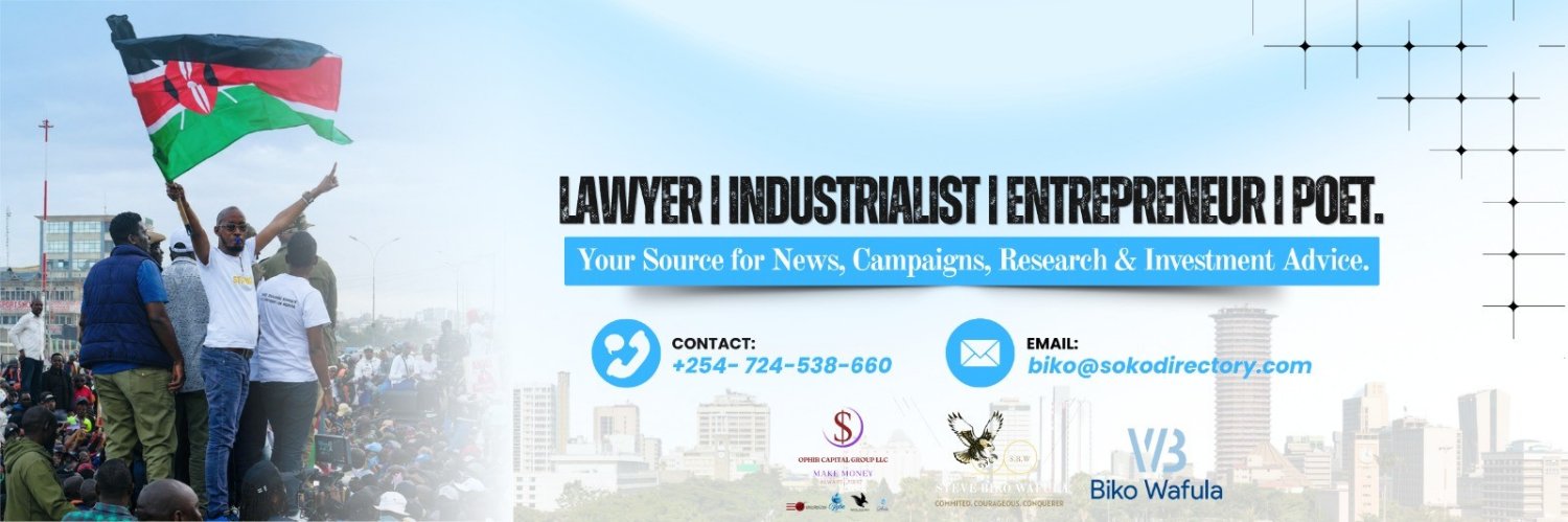 SokoAnalyst's banner