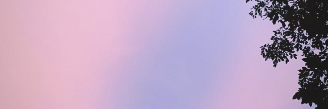 Shareвear 🦊🍡🐢👽 ❥'s banner