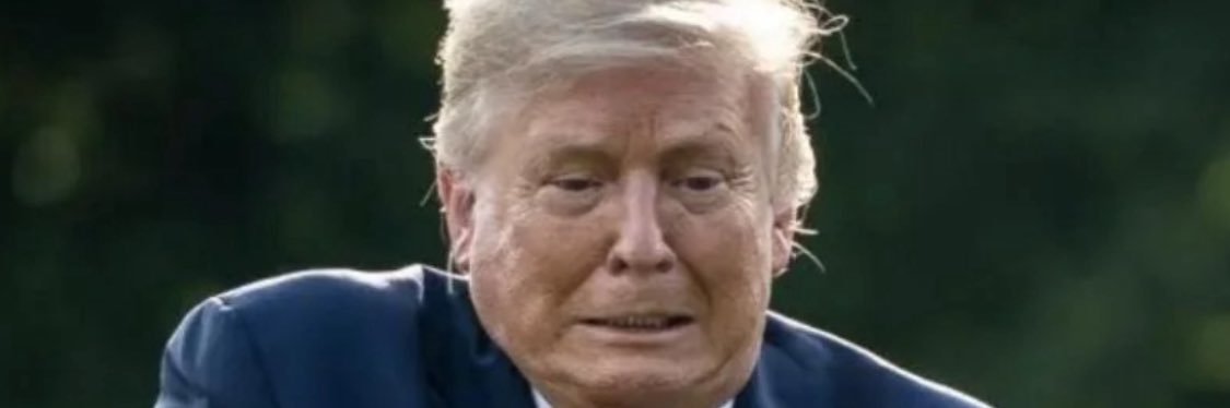 Donald Frump's banner