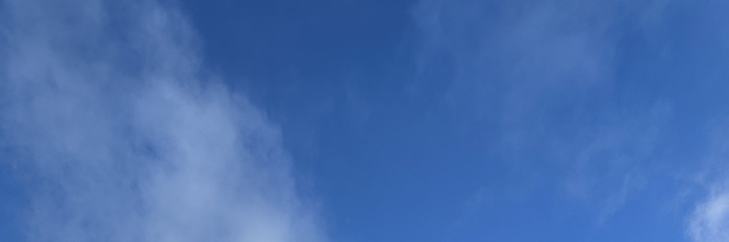 BLᗑCK PEPPᗑ 🇬🇧🇯🇲🇸🇽🏁's banner