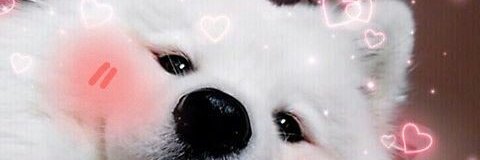 บนต ʕ·ᴥ·ʔᶫᵉᵉ's banner