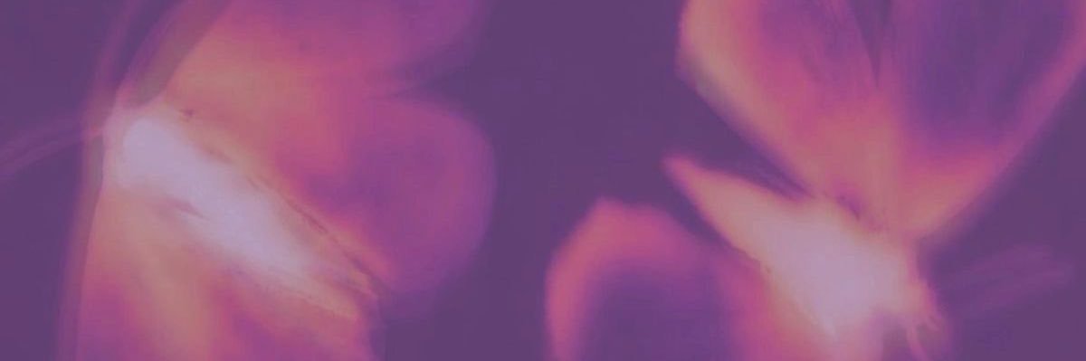 bee 🌸's banner